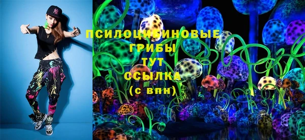 тгк Алексин