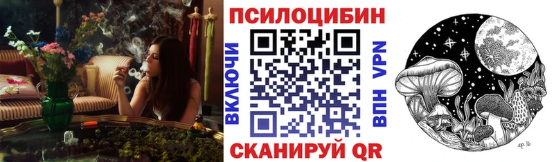 Псилоцибиновые грибы GOLDEN TEACHER  Купить где  Козьмодемьянск 